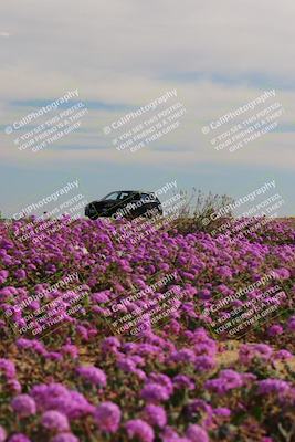 media/Jan-08-2023-SCCA SD (Sun) [[8f6a5b9391]]/Intermediate Group/Session 2 (Short Straight)/